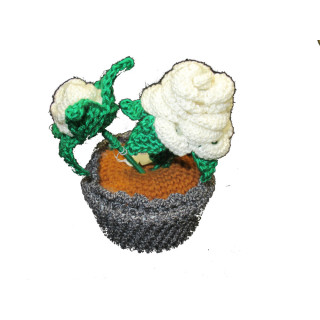 Vaso com duas flores